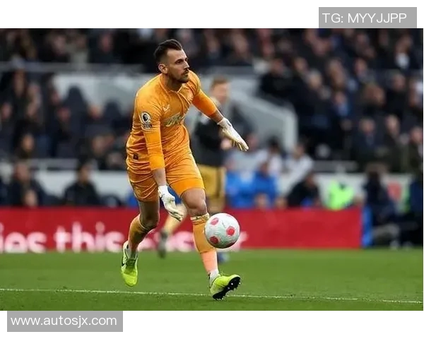 加克波在欧冠赛场的精彩表现与未来发展潜力分析